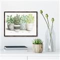 Picture of Pots With Flower _GroupedProduct_Rectangle_Landscape_Canvas_Framed_