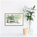 Picture of Pots With Flower _GroupedProduct_Rectangle_Landscape_Canvas_Framed_