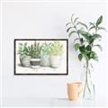 Picture of Pots With Flower _GroupedProduct_Rectangle_Landscape_Canvas_Framed_