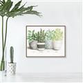 Picture of Pots With Flower _GroupedProduct_Rectangle_Landscape_Canvas_Framed_