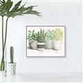 Picture of Pots With Flower _GroupedProduct_Rectangle_Landscape_Canvas_Framed_