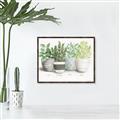 Picture of Pots With Flower _GroupedProduct_Rectangle_Landscape_Canvas_Framed_
