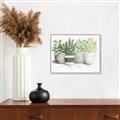 Picture of Pots With Flower _GroupedProduct_Rectangle_Landscape_Canvas_Framed_