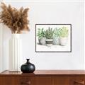 Picture of Pots With Flower _GroupedProduct_Rectangle_Landscape_Canvas_Framed_