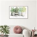 Picture of Pots With Flower _GroupedProduct_Rectangle_Landscape_Canvas_Framed_