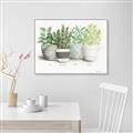 Picture of Pots With Flower _GroupedProduct_Rectangle_Landscape_Canvas_Framed_