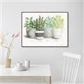 Picture of Pots With Flower _GroupedProduct_Rectangle_Landscape_Canvas_Framed_