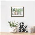 Picture of Pots With Flower I _GroupedProduct_Rectangle_Landscape_Canvas_Framed_