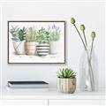 Picture of Pots With Flower I _GroupedProduct_Rectangle_Landscape_Canvas_Framed_