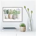 Picture of Pots With Flower I _GroupedProduct_Rectangle_Landscape_Canvas_Framed_