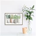 Picture of Pots With Flower I _GroupedProduct_Rectangle_Landscape_Canvas_Framed_