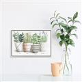 Picture of Pots With Flower I _GroupedProduct_Rectangle_Landscape_Canvas_Framed_