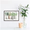 Picture of Pots With Flower I _GroupedProduct_Rectangle_Landscape_Canvas_Framed_
