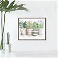 Picture of Pots With Flower I _GroupedProduct_Rectangle_Landscape_Canvas_Framed_