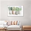 Picture of Pots With Flower I _GroupedProduct_Rectangle_Landscape_Canvas_Framed_