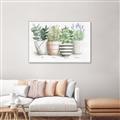 Picture of Pots With Flower I _GroupedProduct_Rectangle_Landscape_Canvas_Framed_