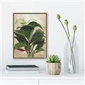 Picture of Tropical Greens _GroupedProduct_Rectangle_Portrait_Canvas_Framed_
