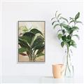 Picture of Tropical Greens _GroupedProduct_Rectangle_Portrait_Canvas_Framed_