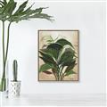Picture of Tropical Greens _GroupedProduct_Rectangle_Portrait_Canvas_Framed_