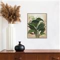Picture of Tropical Greens _GroupedProduct_Rectangle_Portrait_Canvas_Framed_