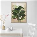 Picture of Tropical Greens _GroupedProduct_Rectangle_Portrait_Canvas_Framed_
