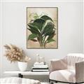 Picture of Tropical Greens _GroupedProduct_Rectangle_Portrait_Canvas_Framed_