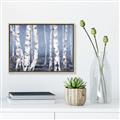 Picture of Plain White Birches _GroupedProduct_Rectangle_Landscape_Canvas_Framed_