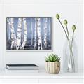 Picture of Plain White Birches _GroupedProduct_Rectangle_Landscape_Canvas_Framed_