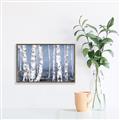 Picture of Plain White Birches _GroupedProduct_Rectangle_Landscape_Canvas_Framed_