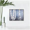 Picture of Plain White Birches _GroupedProduct_Rectangle_Landscape_Canvas_Framed_