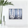 Picture of Plain White Birches _GroupedProduct_Rectangle_Landscape_Canvas_Framed_