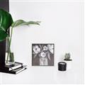 Picture of White On Gray _GroupedProduct_Square_Canvas_Framed_