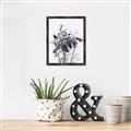 Picture of Black Daisy I _GroupedProduct_Rectangle_Portrait_Canvas_Framed_