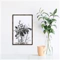 Picture of Black Daisy I _GroupedProduct_Rectangle_Portrait_Canvas_Framed_