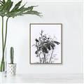 Picture of Black Daisy I _GroupedProduct_Rectangle_Portrait_Canvas_Framed_