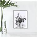 Picture of Black Daisy I _GroupedProduct_Rectangle_Portrait_Canvas_Framed_