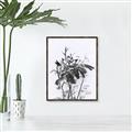 Picture of Black Daisy I _GroupedProduct_Rectangle_Portrait_Canvas_Framed_