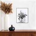 Picture of Black Daisy I _GroupedProduct_Rectangle_Portrait_Canvas_Framed_