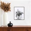 Picture of Black Daisy I _GroupedProduct_Rectangle_Portrait_Canvas_Framed_