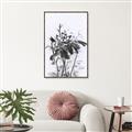 Picture of Black Daisy I _GroupedProduct_Rectangle_Portrait_Canvas_Framed_