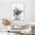 Picture of Black Daisy I _GroupedProduct_Rectangle_Portrait_Canvas_Framed_