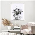 Picture of Black Daisy I _GroupedProduct_Rectangle_Portrait_Canvas_Framed_