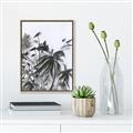 Picture of Black Daisy II _GroupedProduct_Rectangle_Portrait_Canvas_Framed_