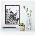 Picture of Black Daisy II _GroupedProduct_Rectangle_Portrait_Canvas_Framed_