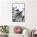 Picture of Black Daisy II _GroupedProduct_Rectangle_Portrait_Canvas_Framed_