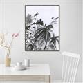Picture of Black Daisy II _GroupedProduct_Rectangle_Portrait_Canvas_Framed_