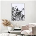 Picture of Black Daisy II _GroupedProduct_Rectangle_Portrait_Canvas_Framed_