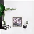 Picture of Big Pink Flower  _GroupedProduct_Square_Canvas_Framed_