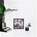 Picture of Big Pink Flower  _GroupedProduct_Square_Canvas_Framed_