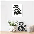 Picture of Black Leaves II _GroupedProduct_Rectangle_Portrait_Unframed_Print_Only_